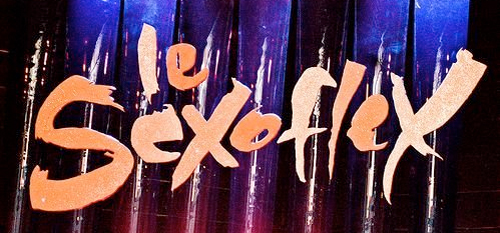 le sexoflex logo 02